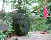 Buddha, JMKH