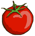 tomaat goed voor prostaat
